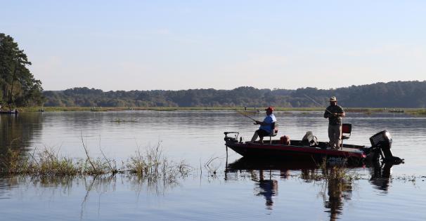 Lake Fishing