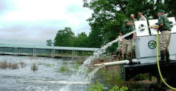Fish hatchery stocking