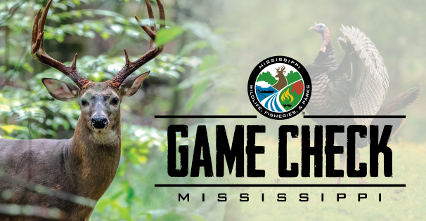 Game Check Deer
