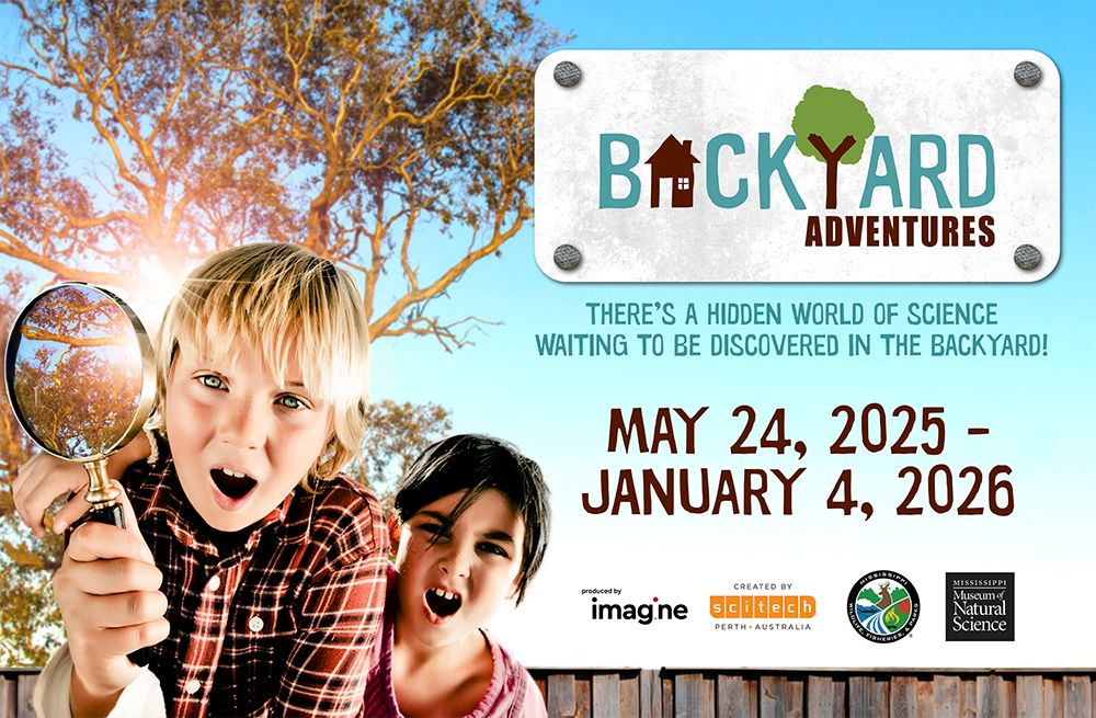 backyard adventures ad