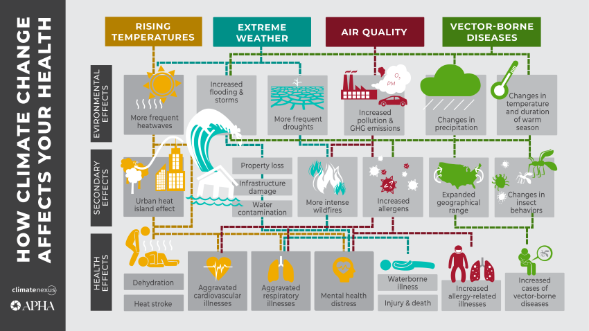 How Climate Change Affects Health