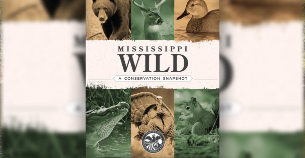 conservation snapshot