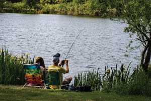 Mississippi State Parks
