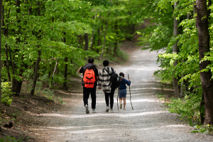 Mississippi State Parks Hiking
